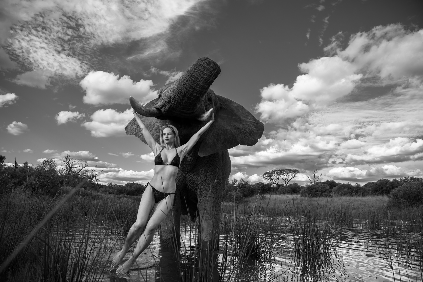 Genevieve Morton Genevieve Morton