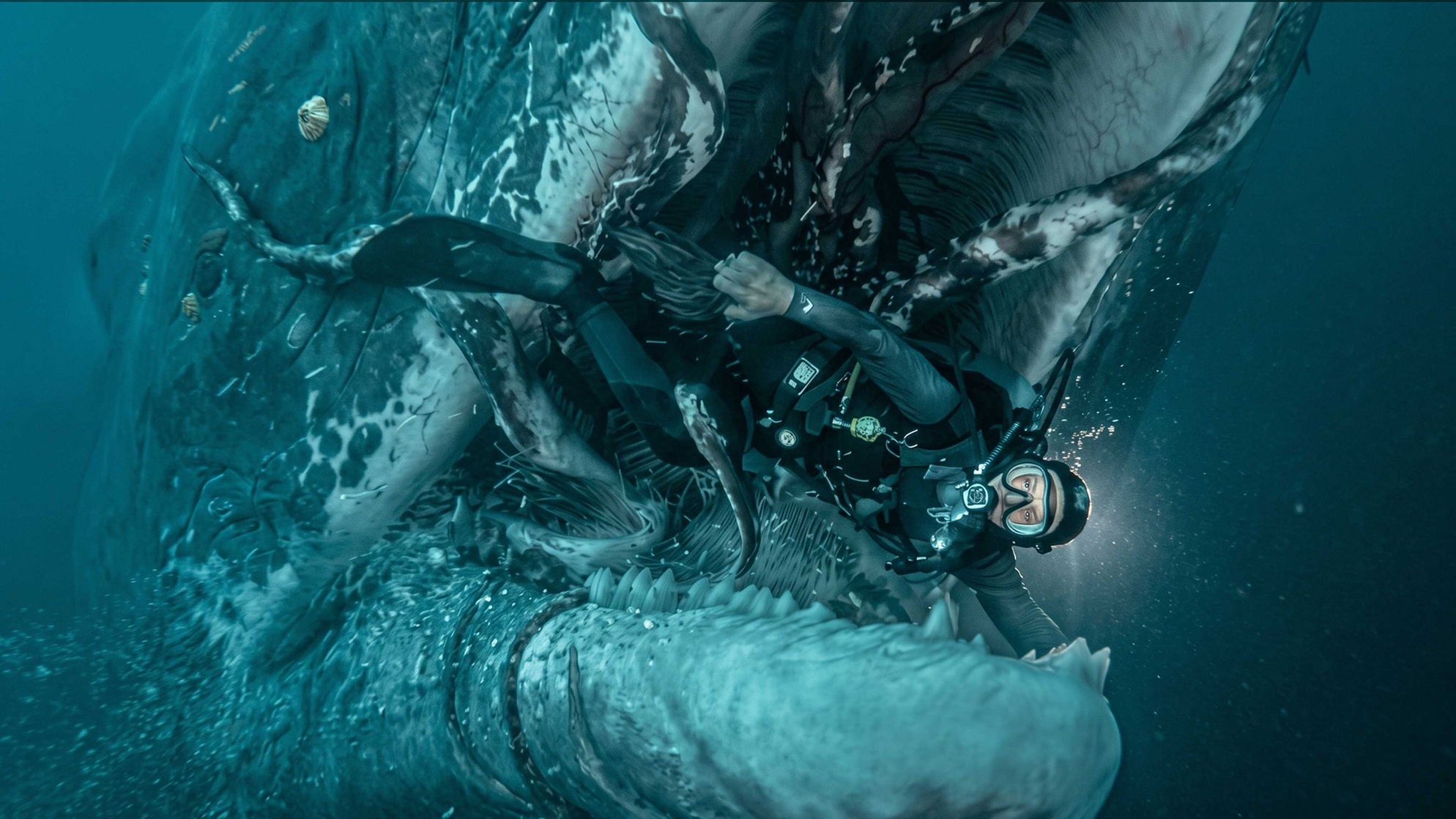 Whalefall