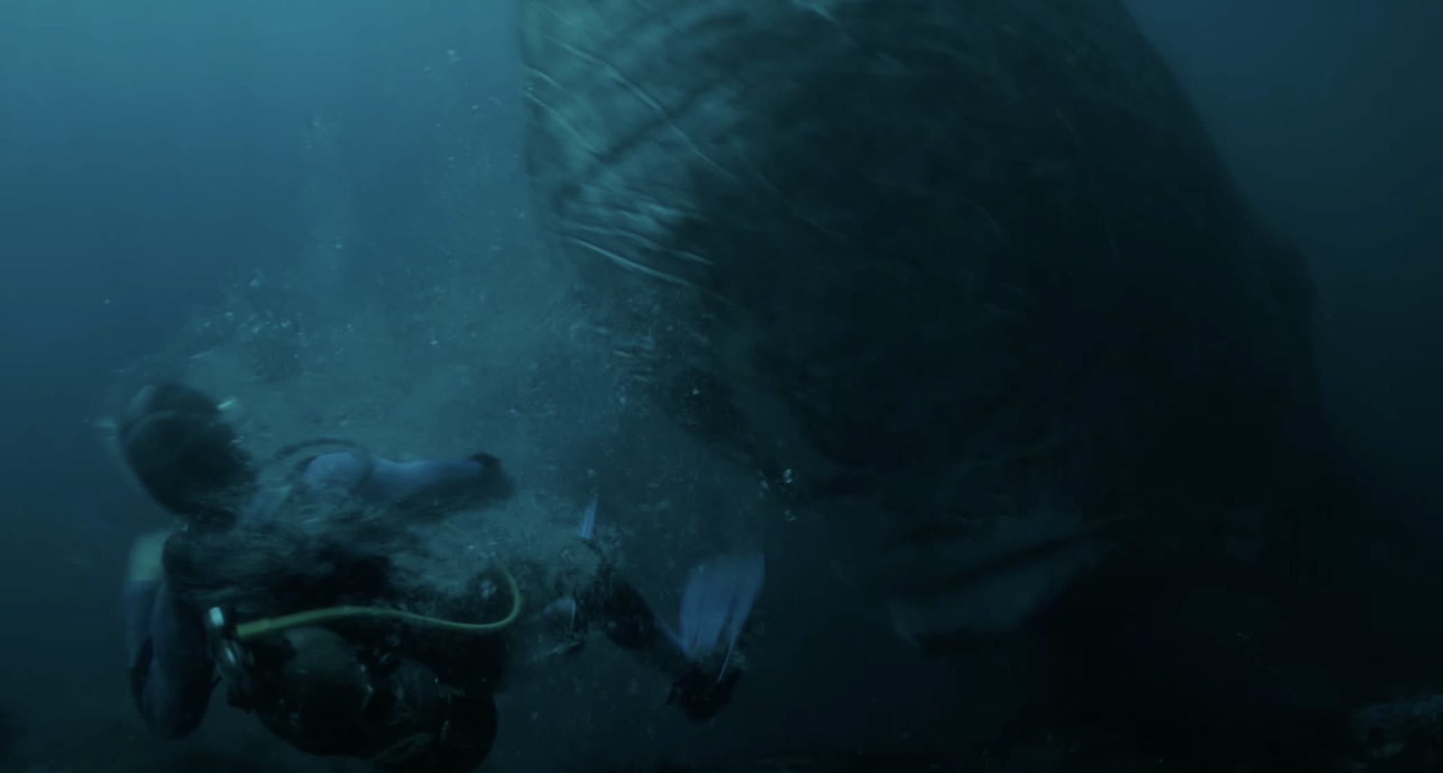 Whalefall