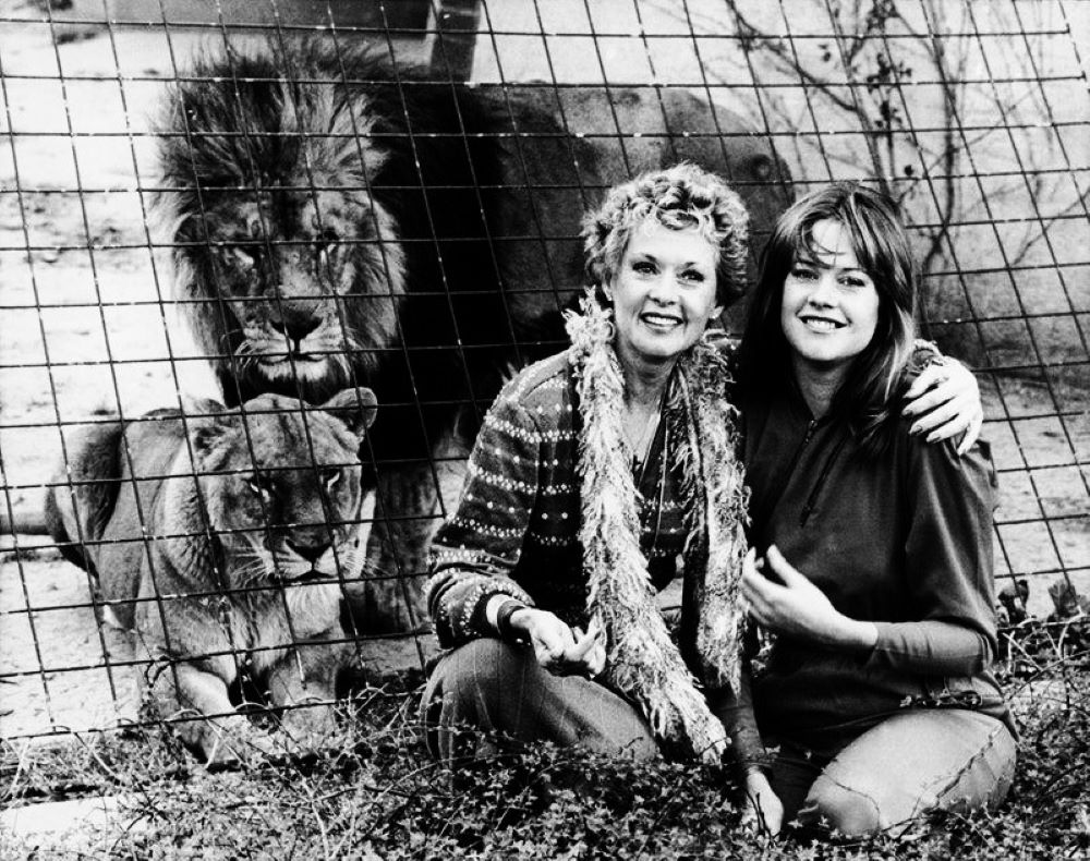 Tippi Hedren Tippi Hedren