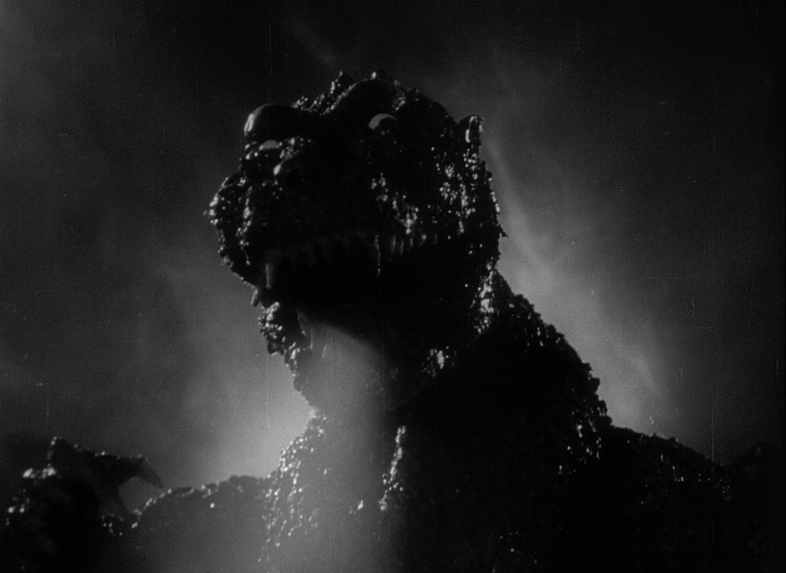 Godzilla Godzilla