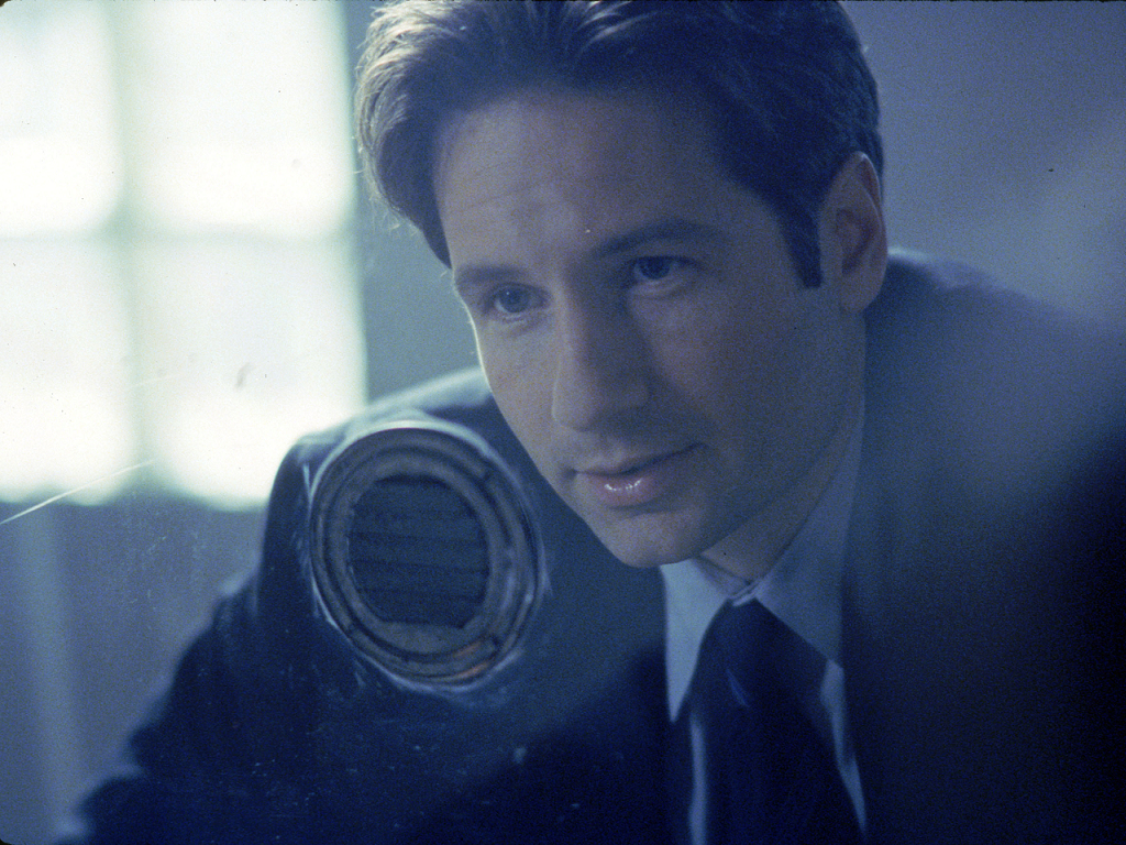 The X Files The X Files