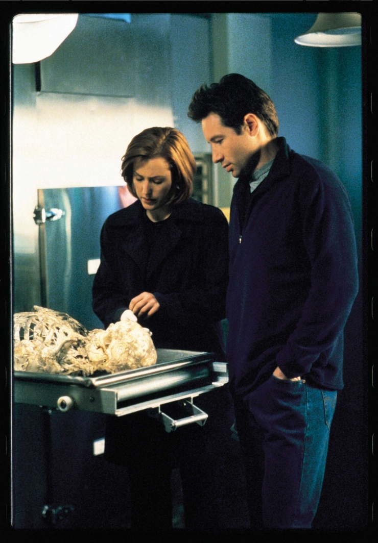 Image of The X Files