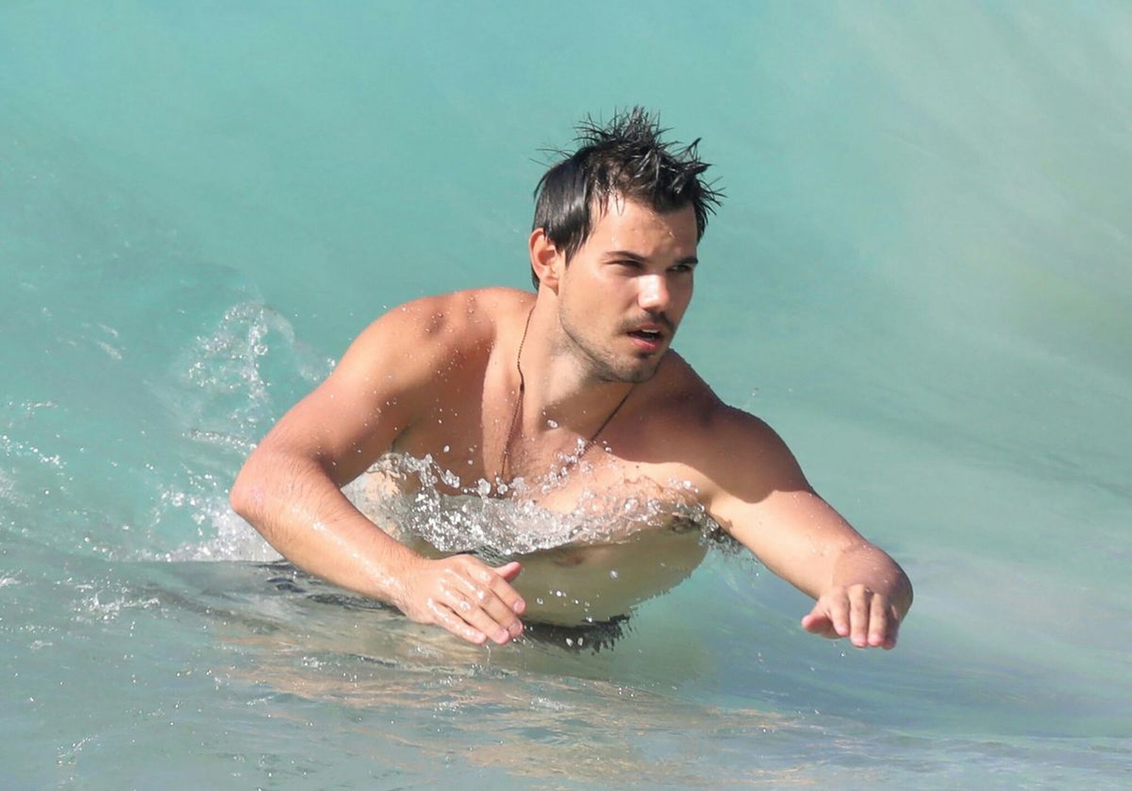 Taylor Lautner