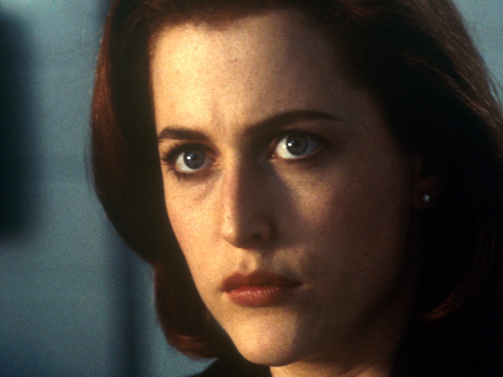 The X Files The X Files