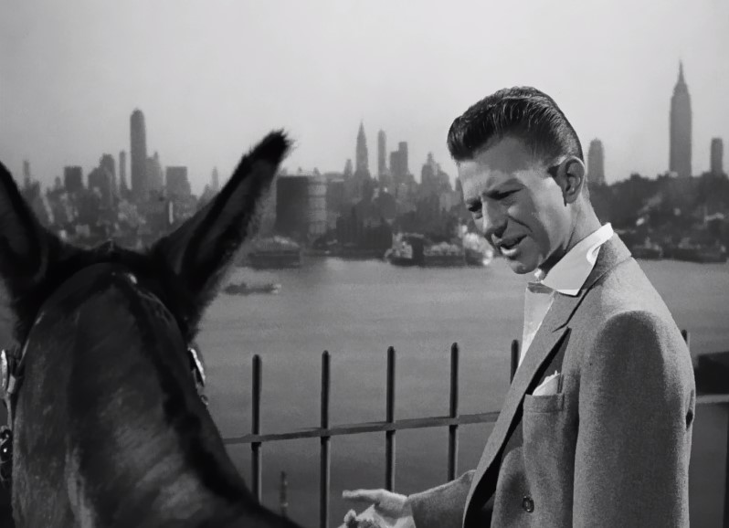 Francis Covers the Big Town Francis Covers the Big Town