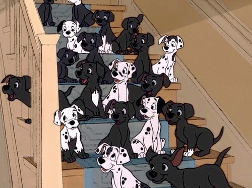 Picture Of One Hundred And One Dalmatians