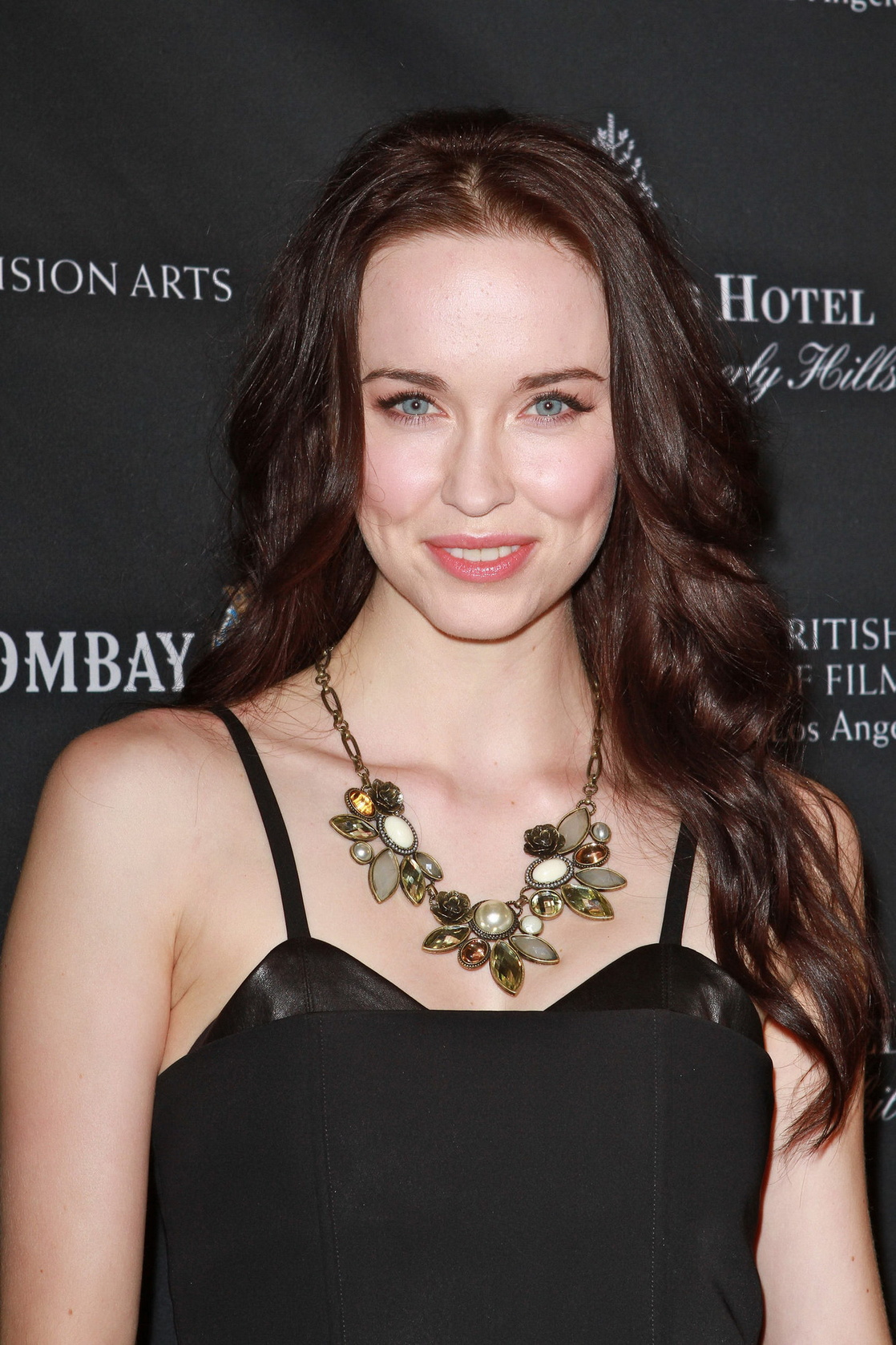Elyse Levesque Elyse Levesque
