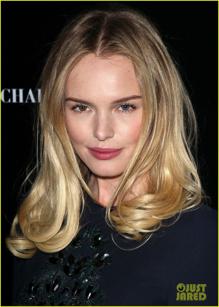 Picture Of Kate Bosworth