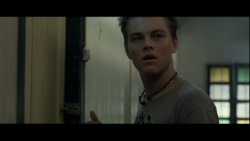 Leonardo DiCaprio