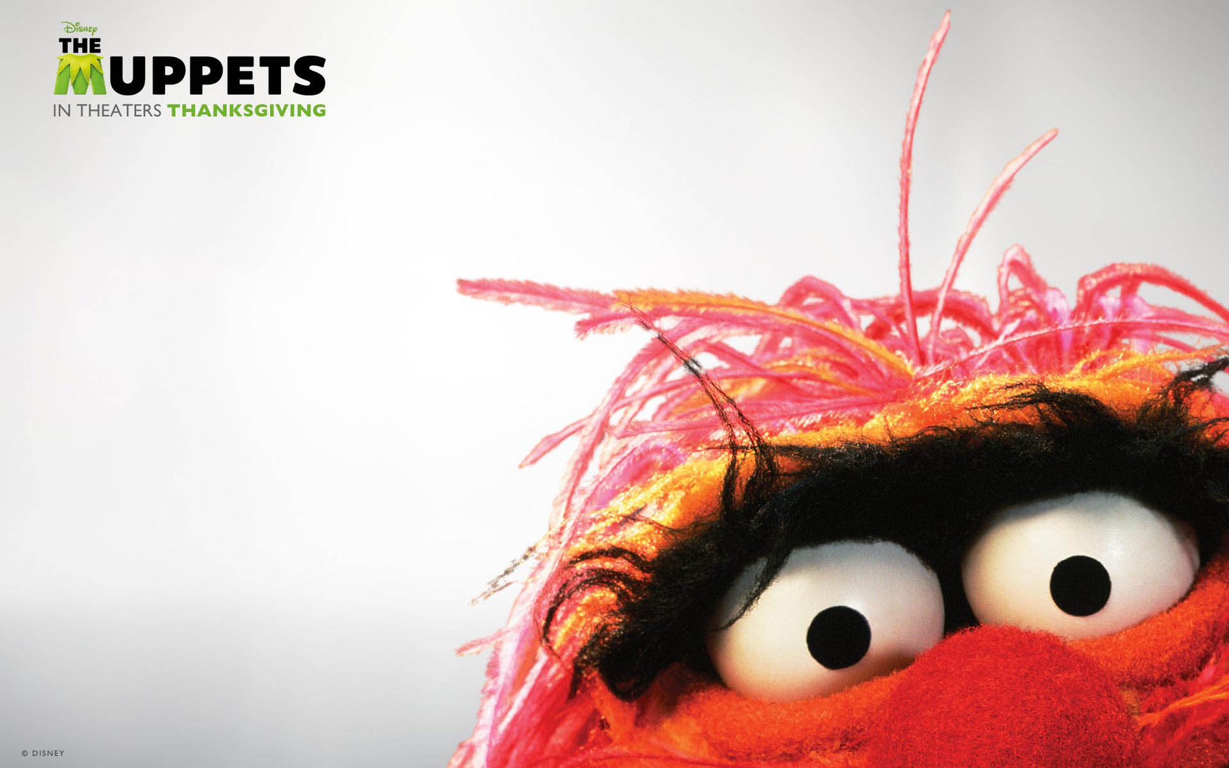 The Muppets