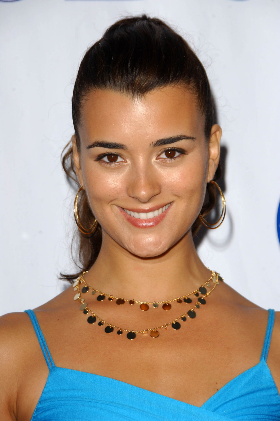 cote de pablo net worth
