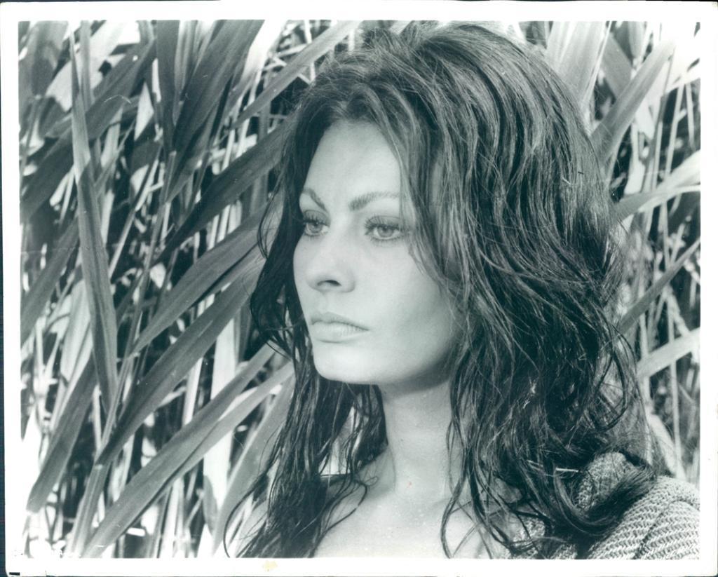 Sophia Loren Sophia Loren