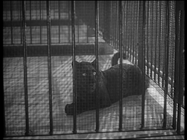 Cat People (1942) Cat People (1942)