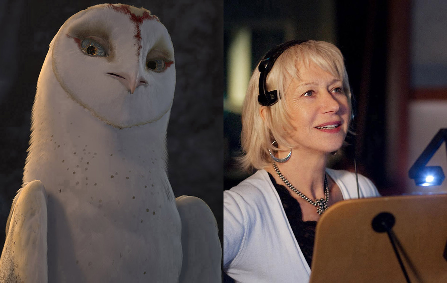 Legend of the Guardians: The Owls of Ga'Hoole