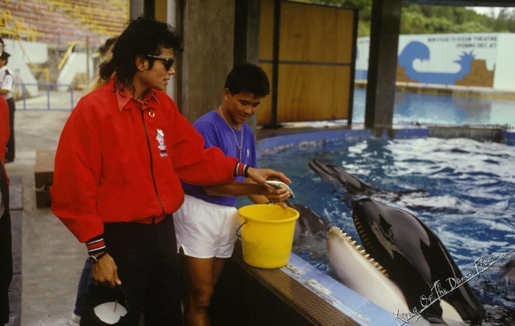 Michael Jackson