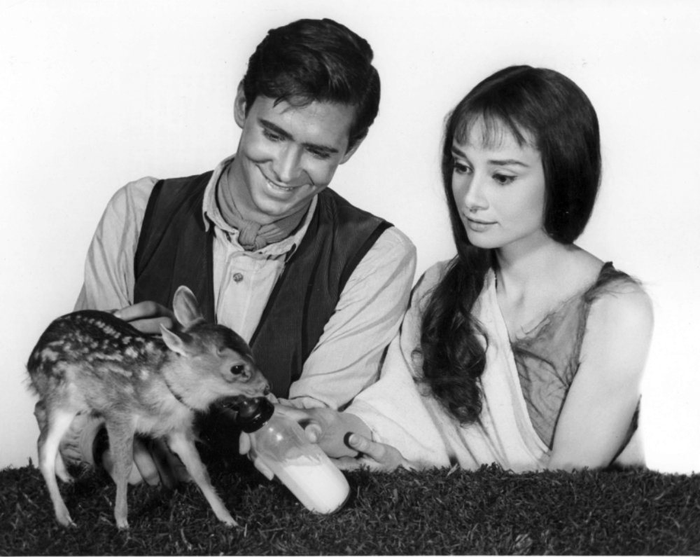 Audrey Hepburn