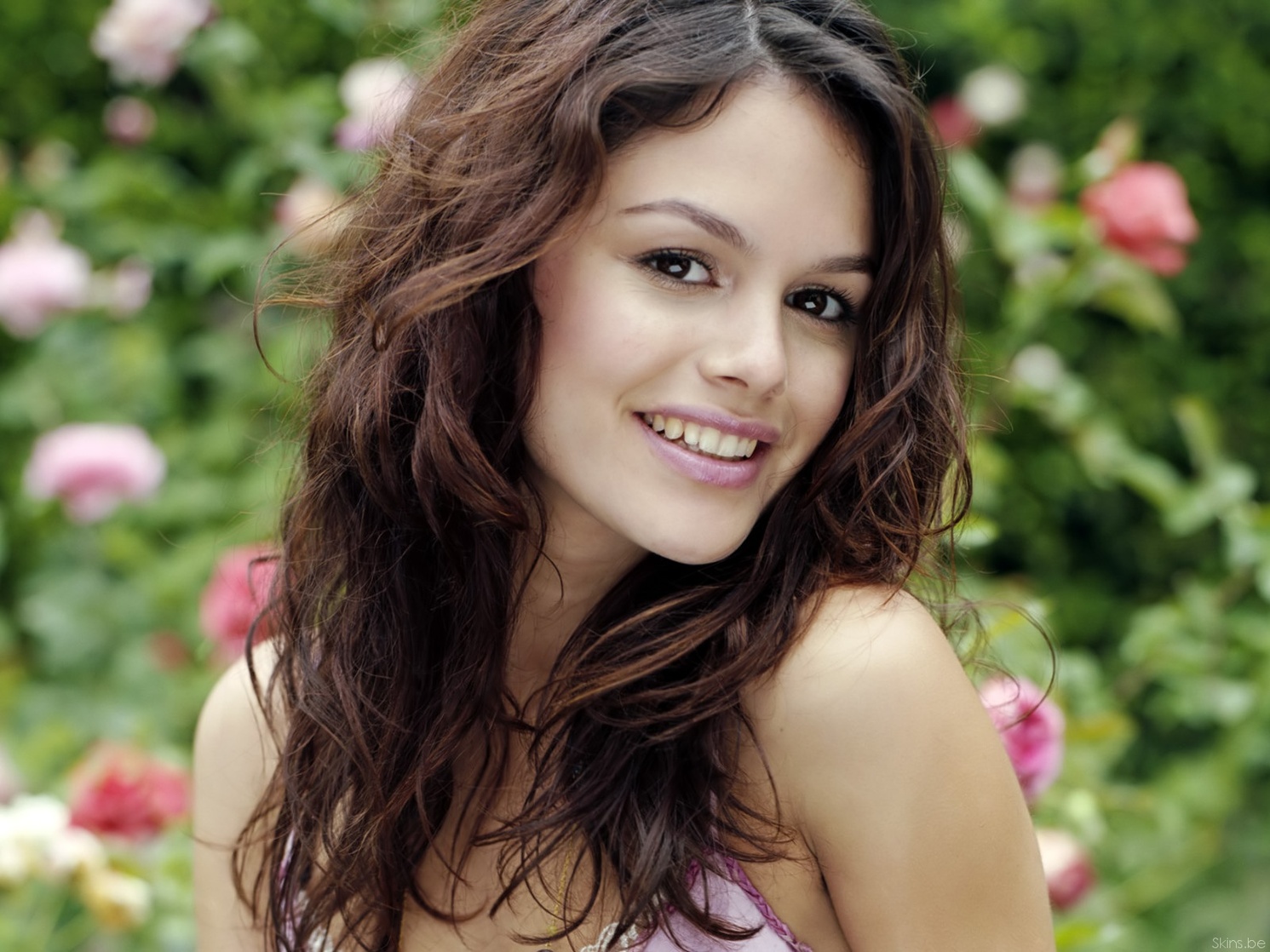 Rachel Bilson Rachel Bilson