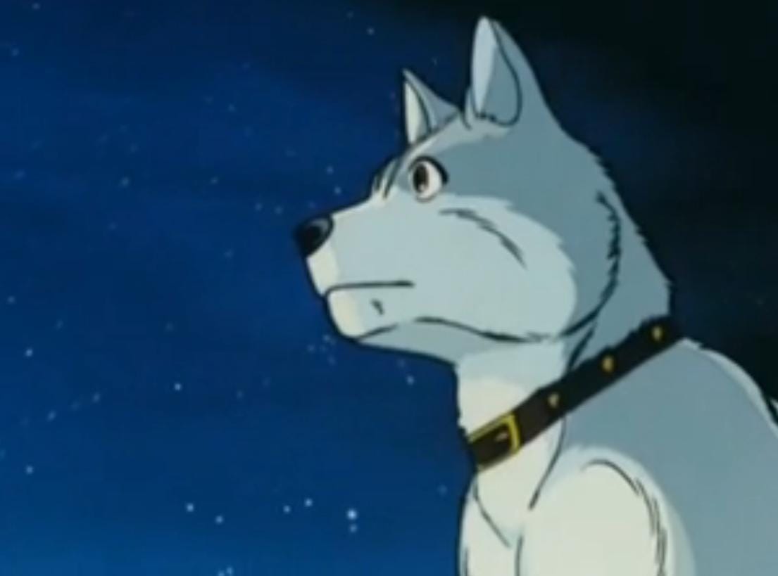 Picture Of Ginga Nagareboshi Gin