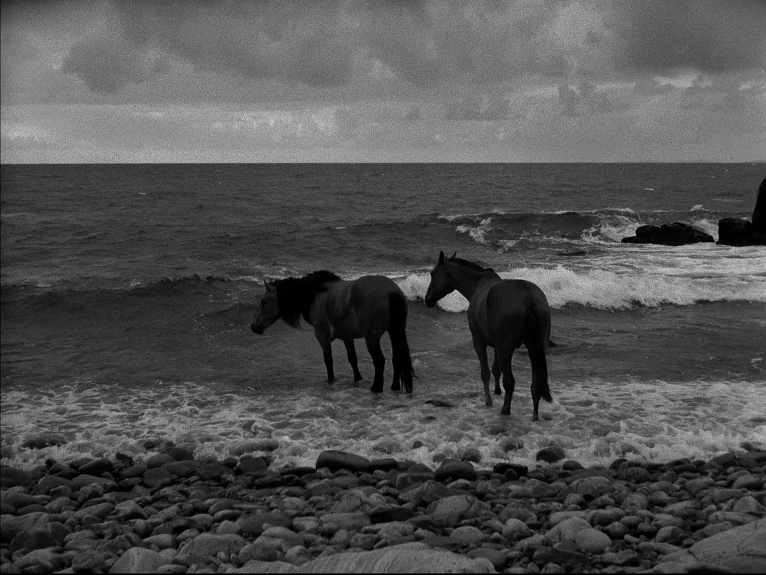 The Seventh Seal The Seventh Seal