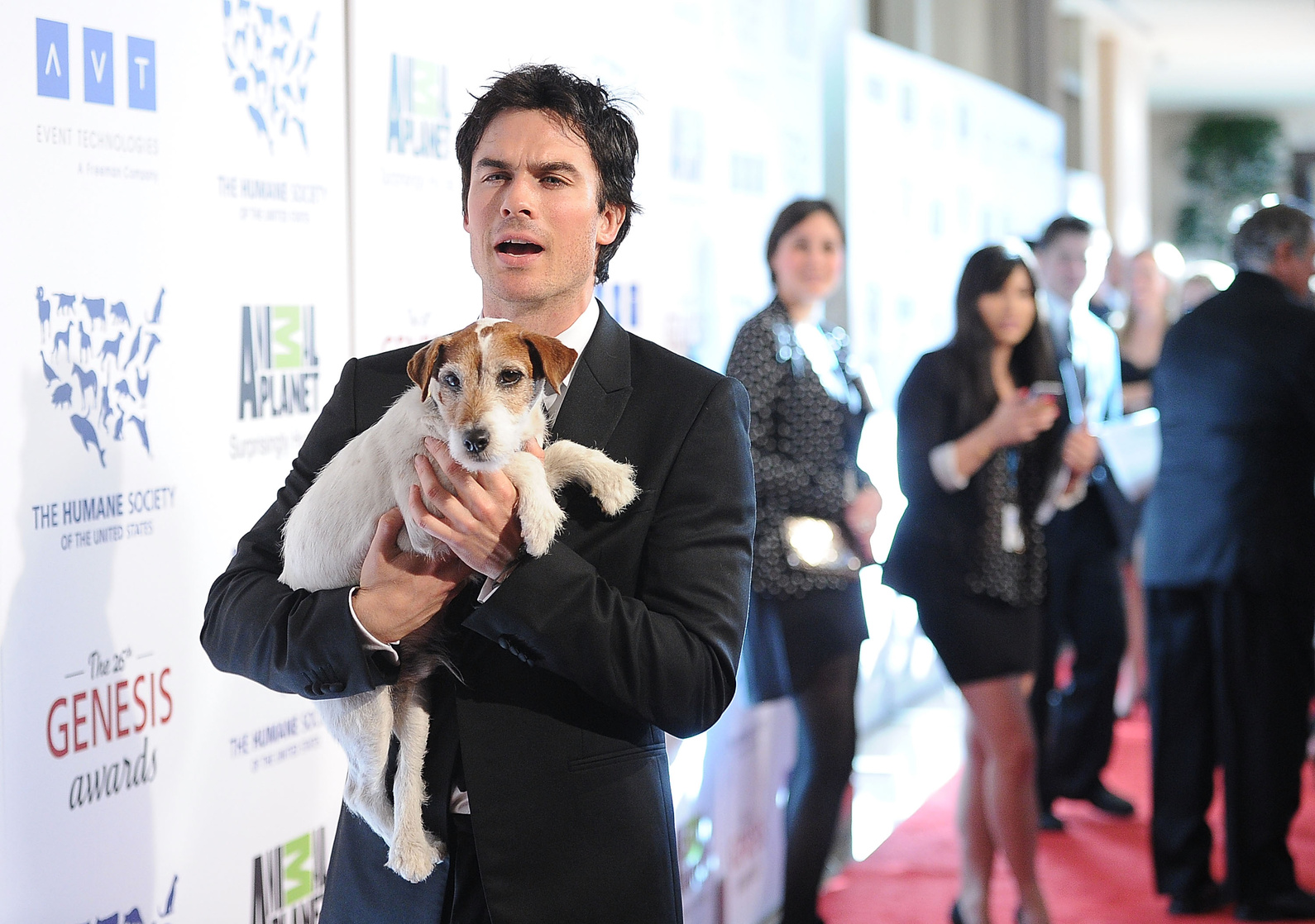 Ian Somerhalder