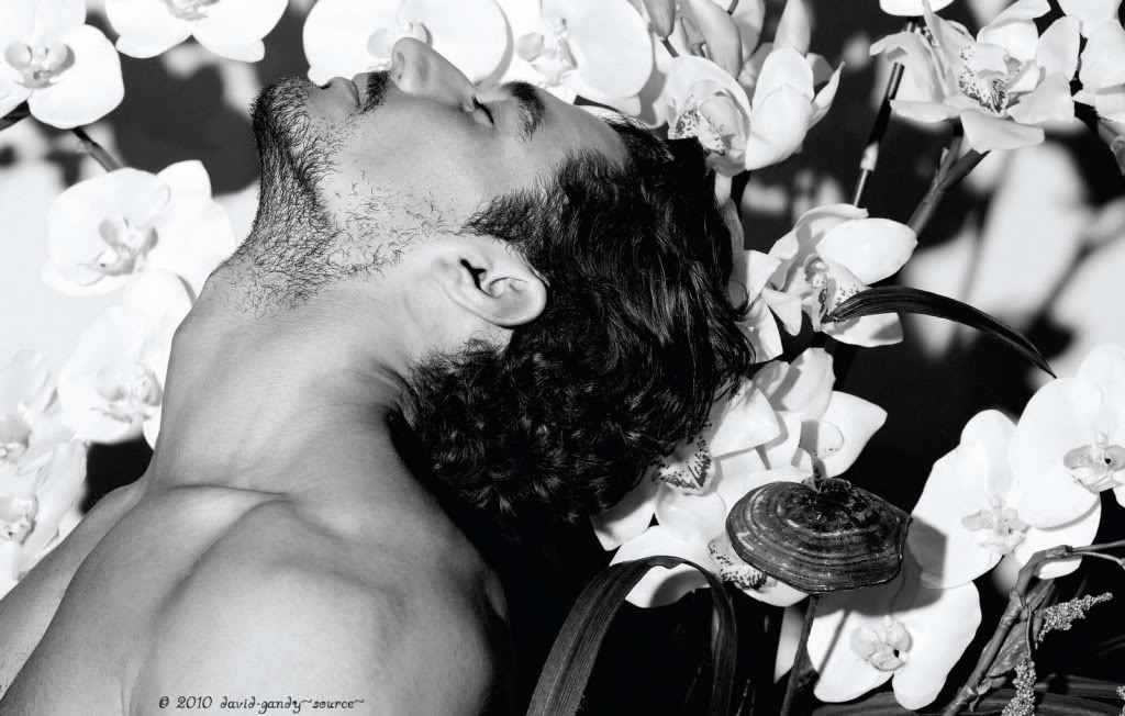 David Gandy