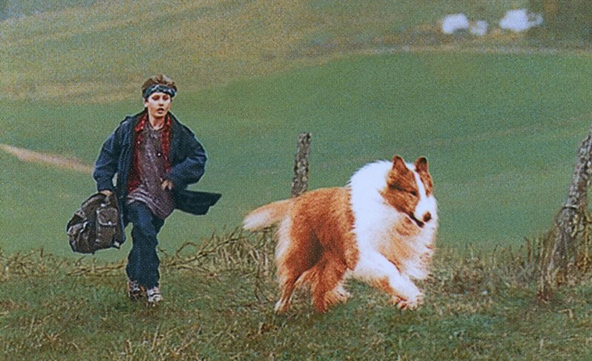Lassie (1994) picture