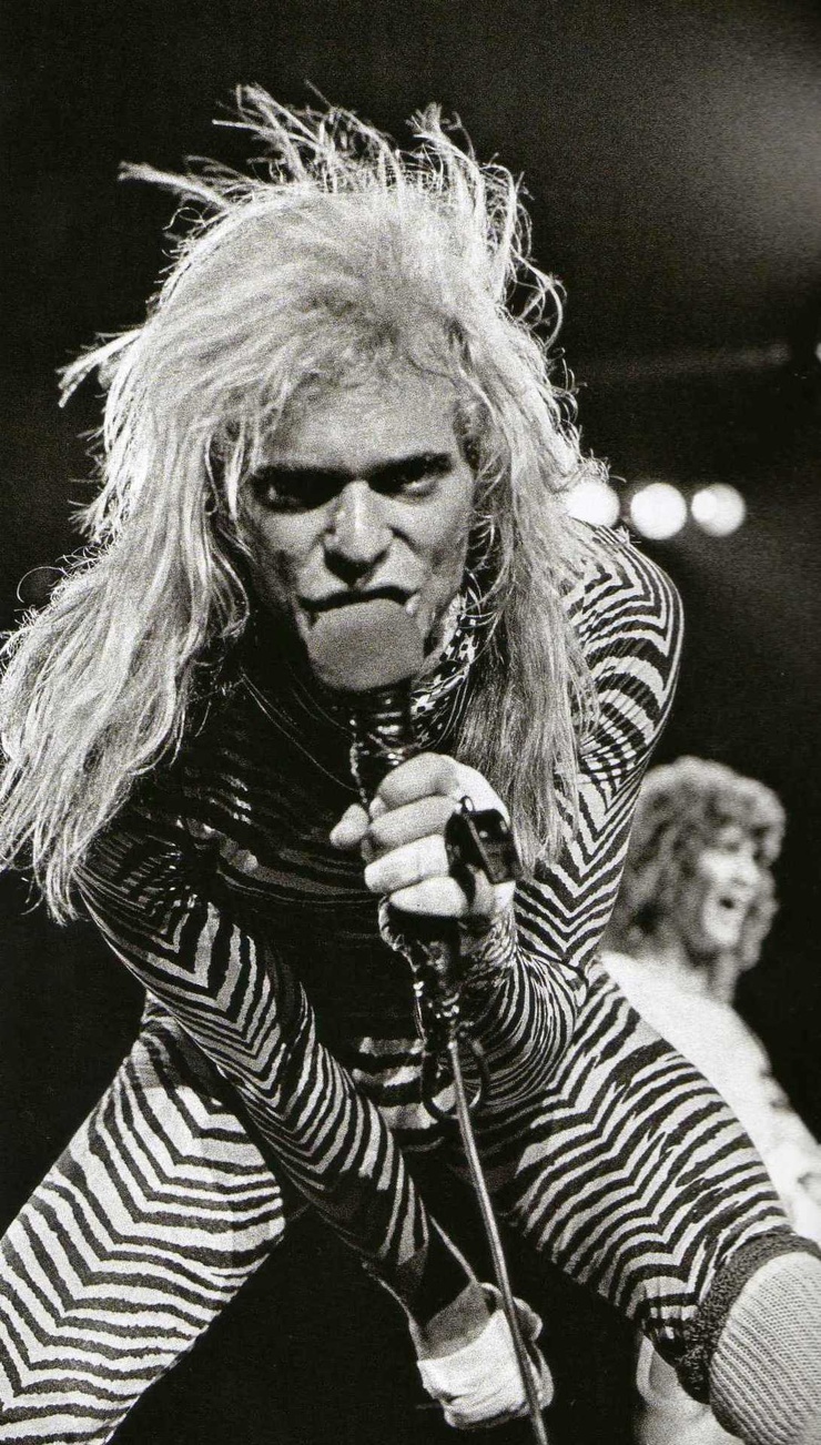 Picture of David Lee Roth