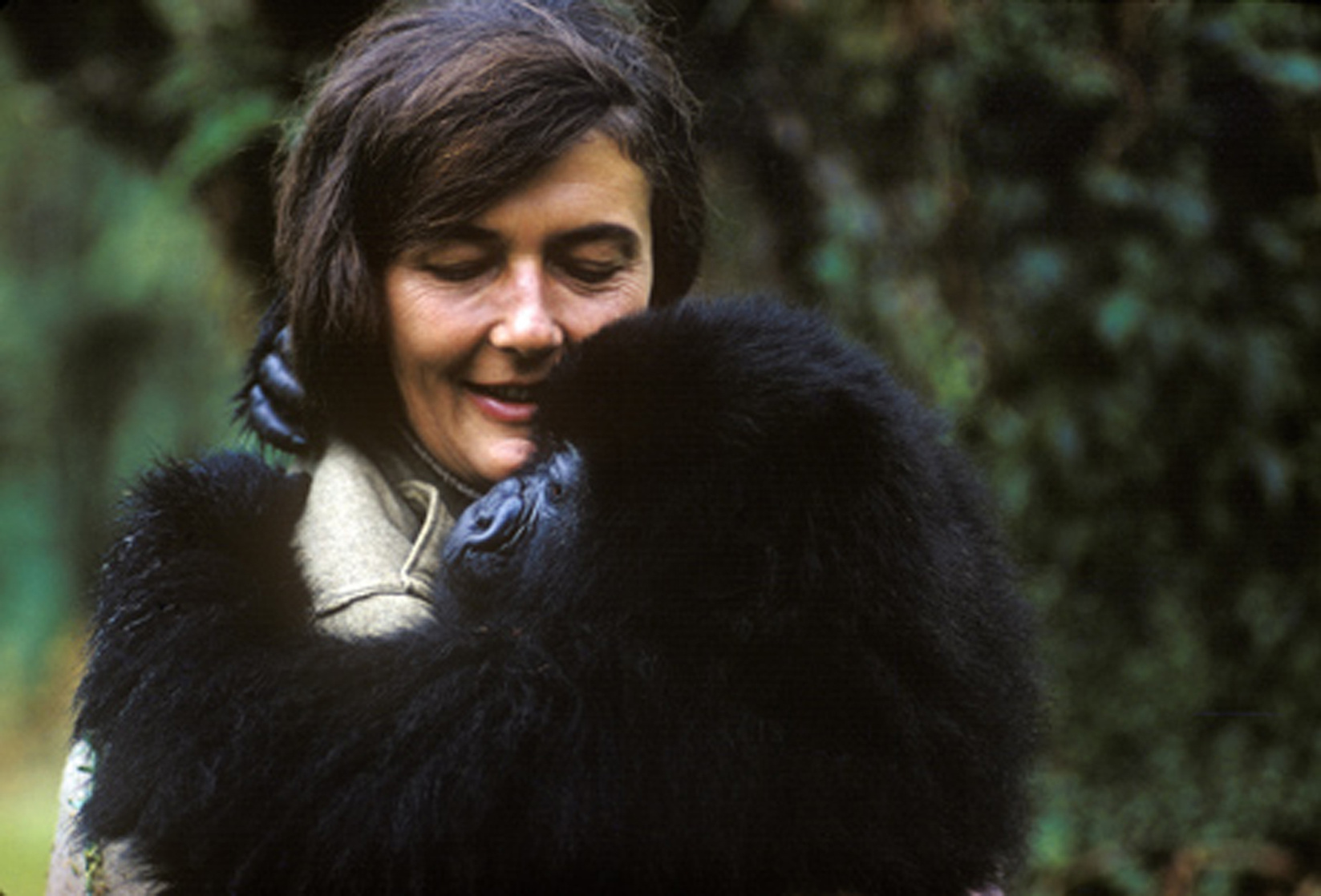 Dian Fossey Dian Fossey