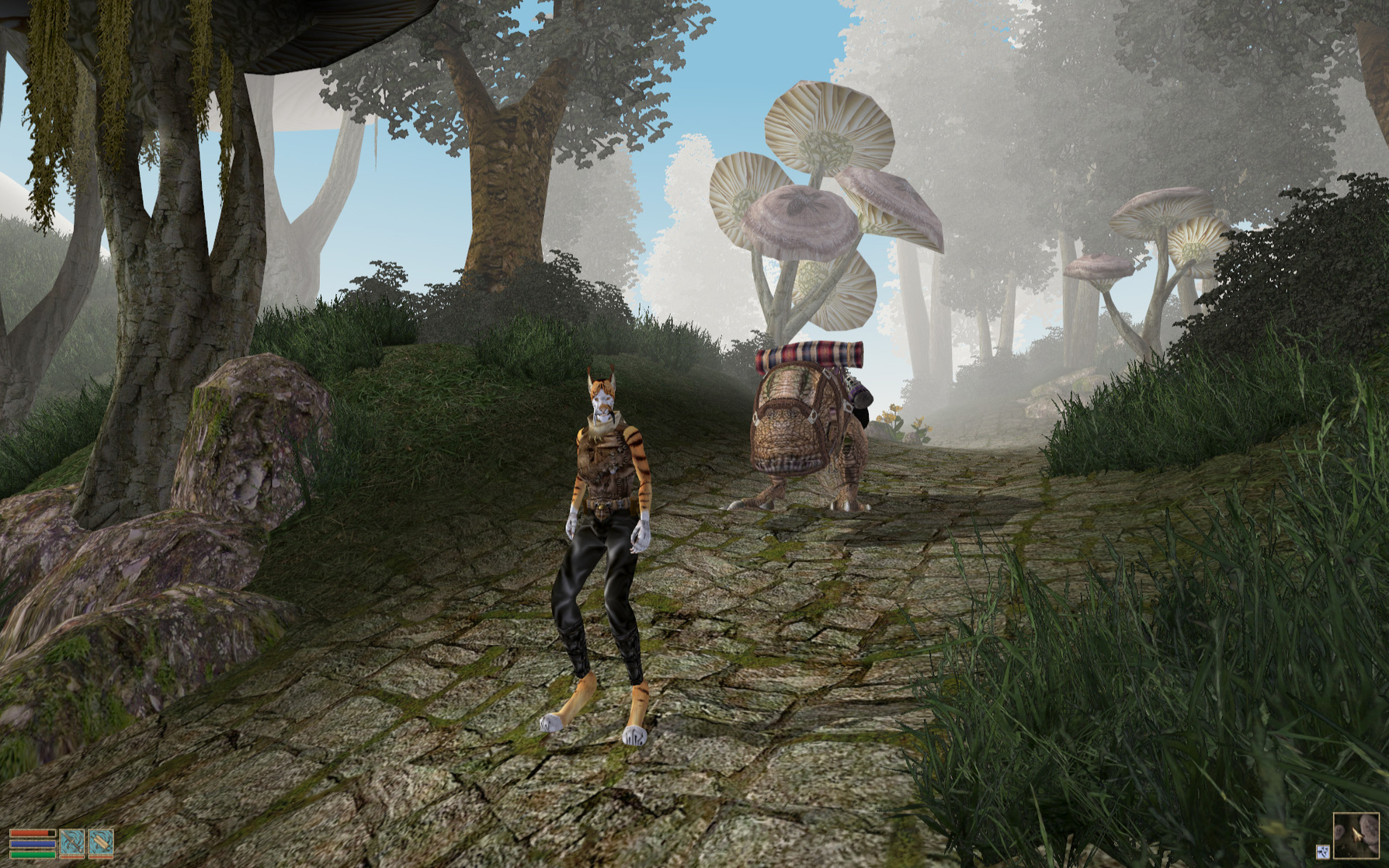 The Elder Scrolls III: Morrowind Sur PC - Version Française Complète - Bon état