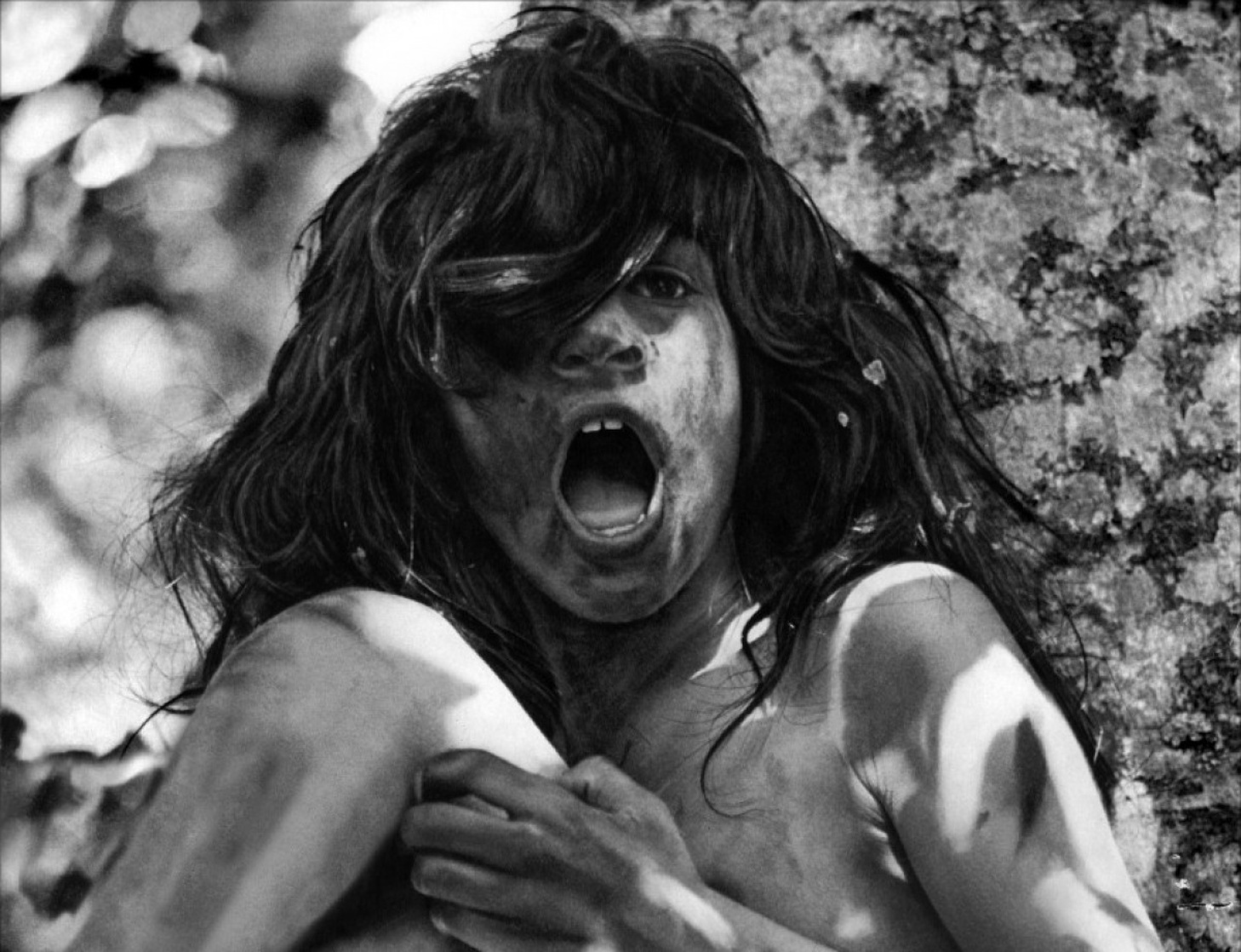 The Wild Child The Wild Child