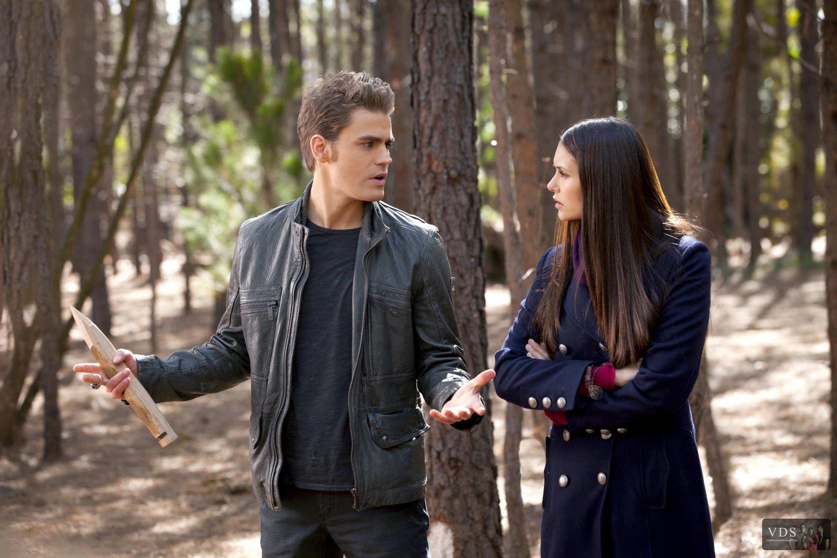 The Vampire Diaries