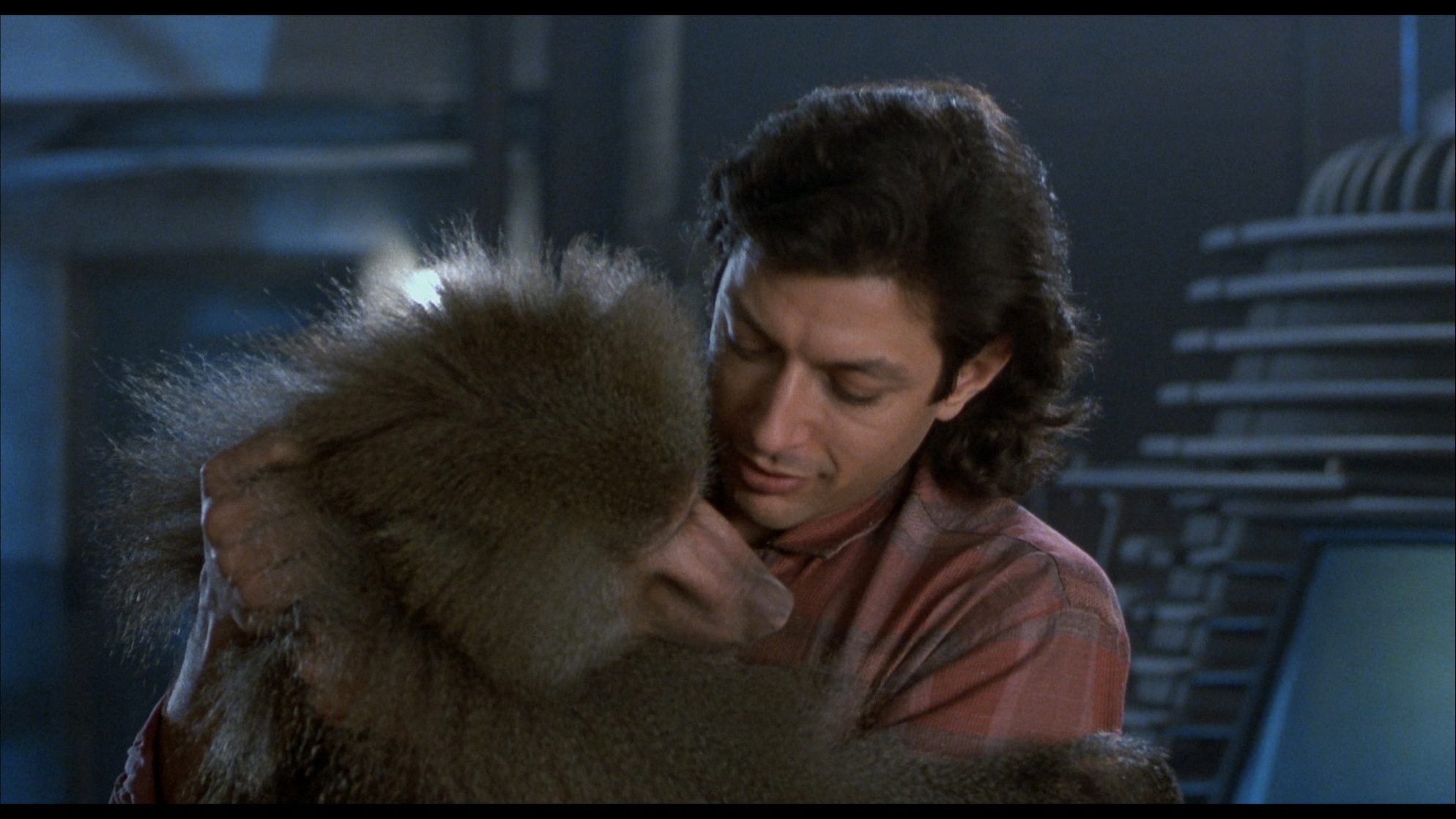 The Fly