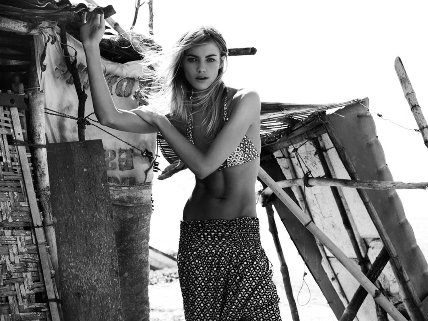 Elyse Taylor Elyse Taylor