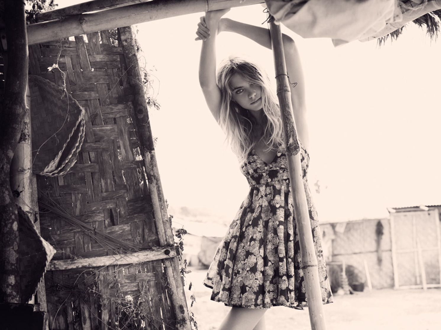 Elyse Taylor