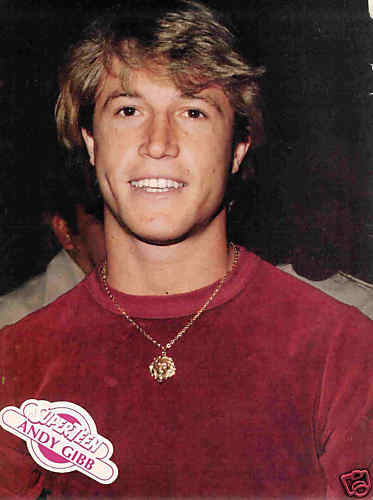 Picture of Andy Gibb