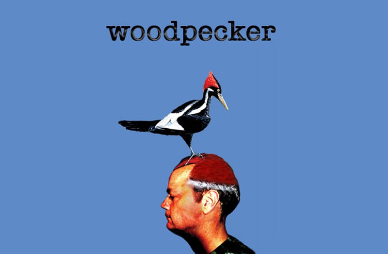 Woodpecker (General Impression of Size and Shape)