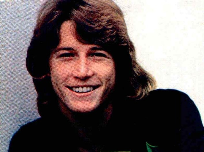 Andy Gibb picture.