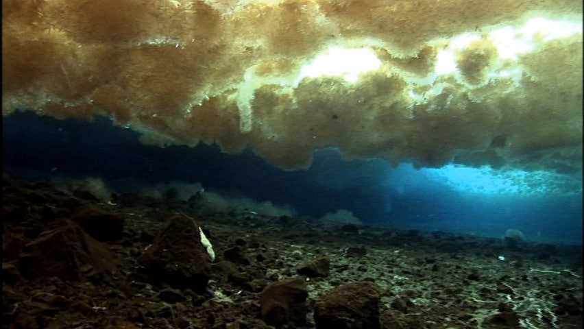 Encounters at the End of the World (2007)