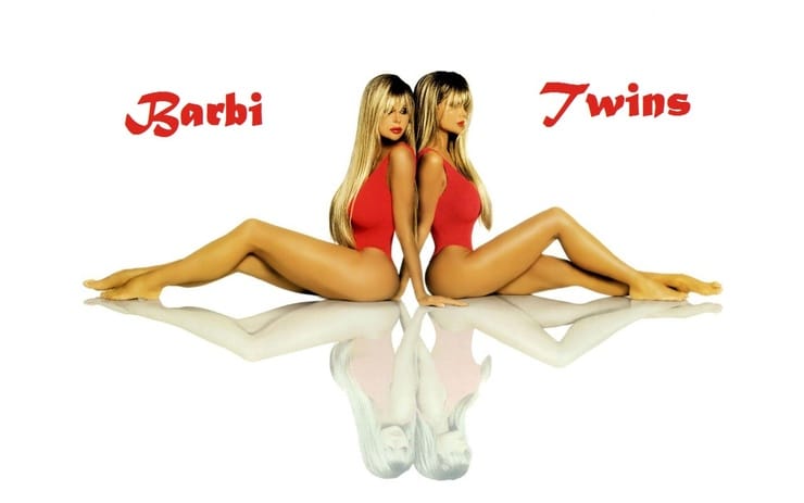 Picture Of Barbi Twins