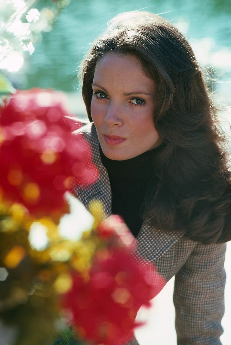 Picture of Jaclyn Smith.