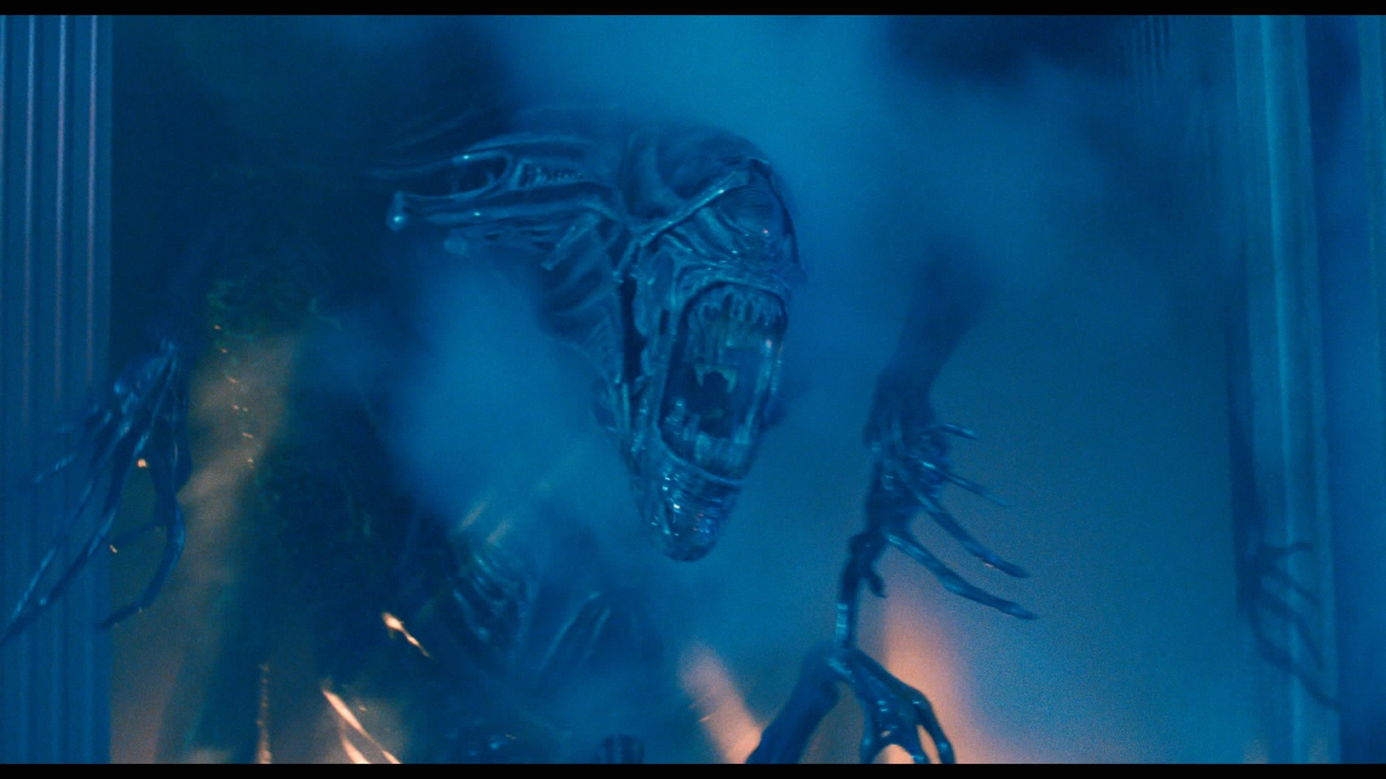 Aliens Aliens