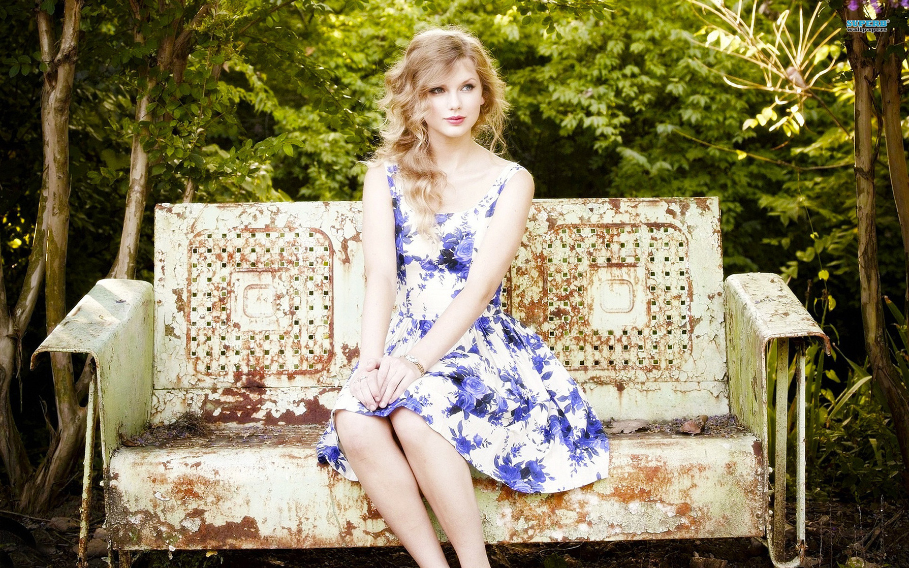 Taylor Swift Taylor Swift