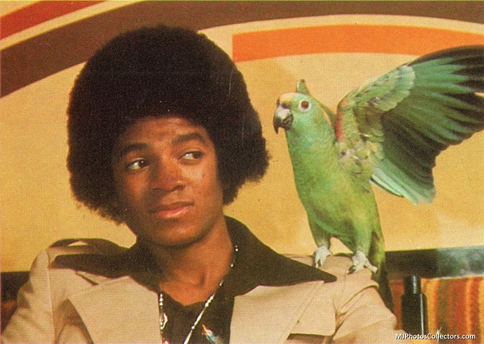 Michael Jackson