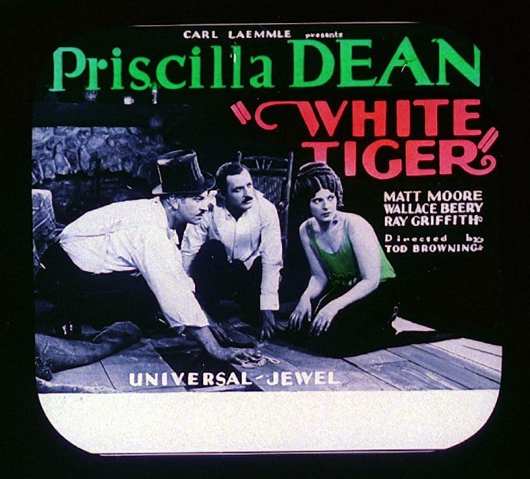 White Tiger White Tiger