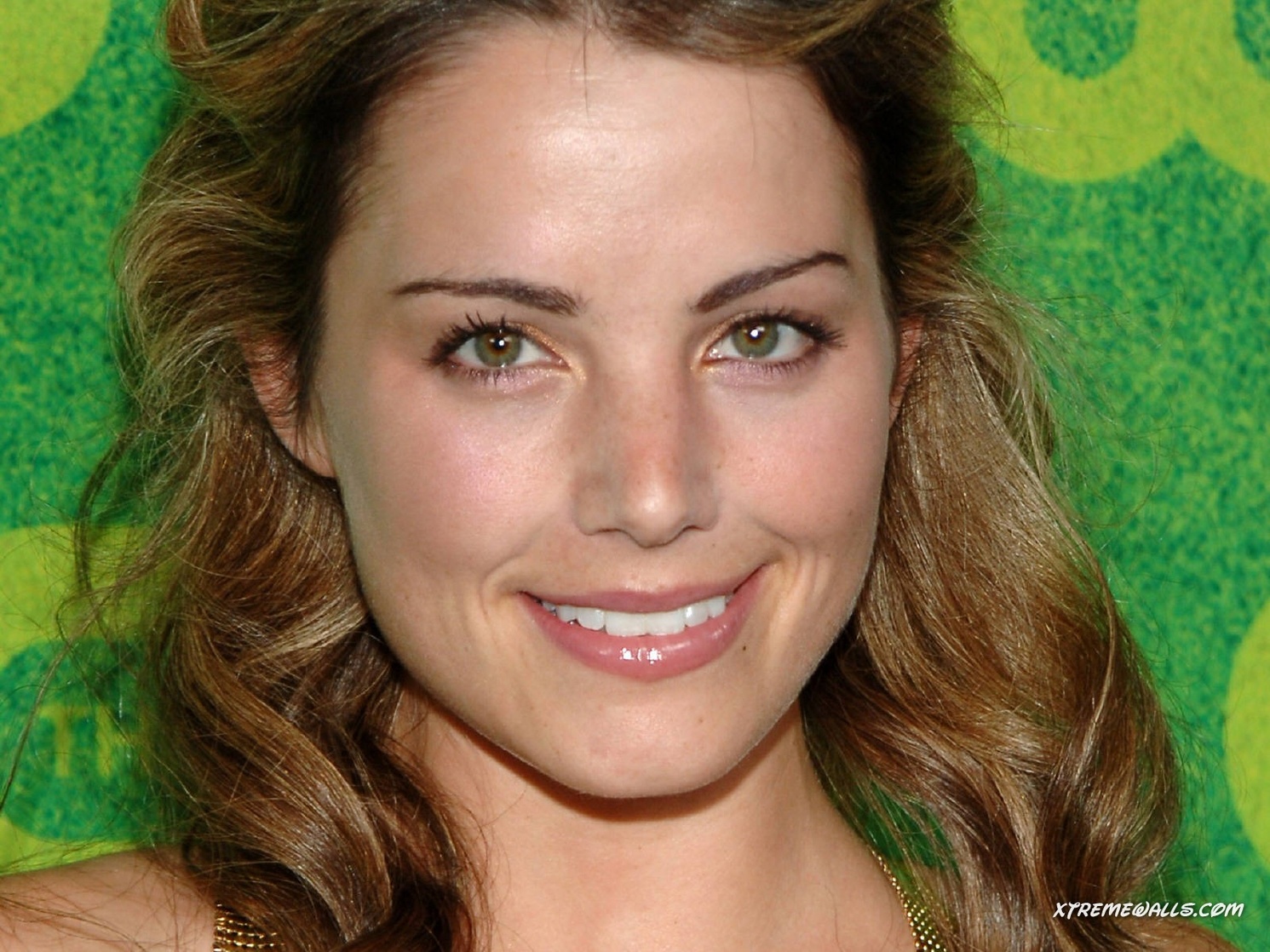 Erica Durance Erica Durance