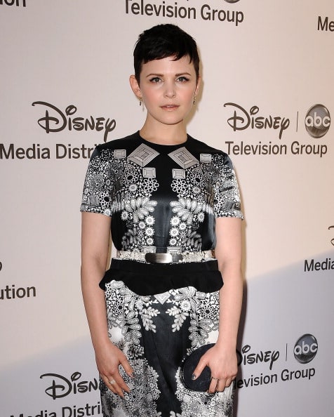 Picture Of Ginnifer Goodwin