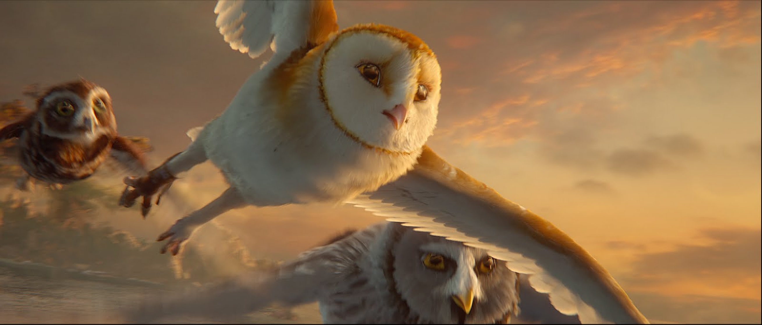Legend of the Guardians: The Owls of Ga'Hoole