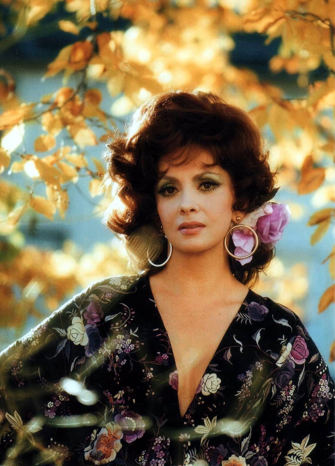 Gina Lollobrigida / Picture of Gina Lollobrigida - Gina lollobrigida's age is 93.