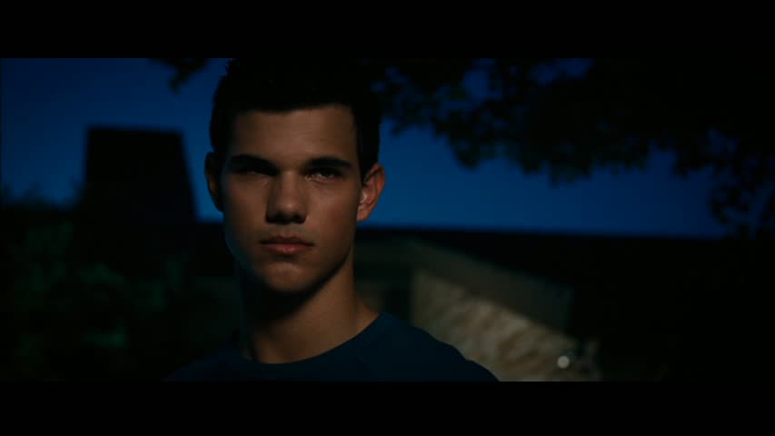 Taylor Lautner